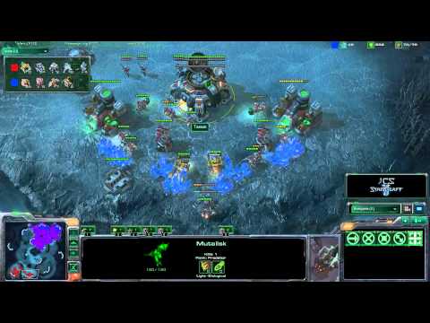 Tarson (T) vs DIMAGA (Z) - IEM Season V - 3rd Place - Game 3