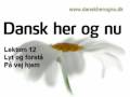 Dansk her og nu - Lektion 12 - Tekst og dialog - Paa vej hjem