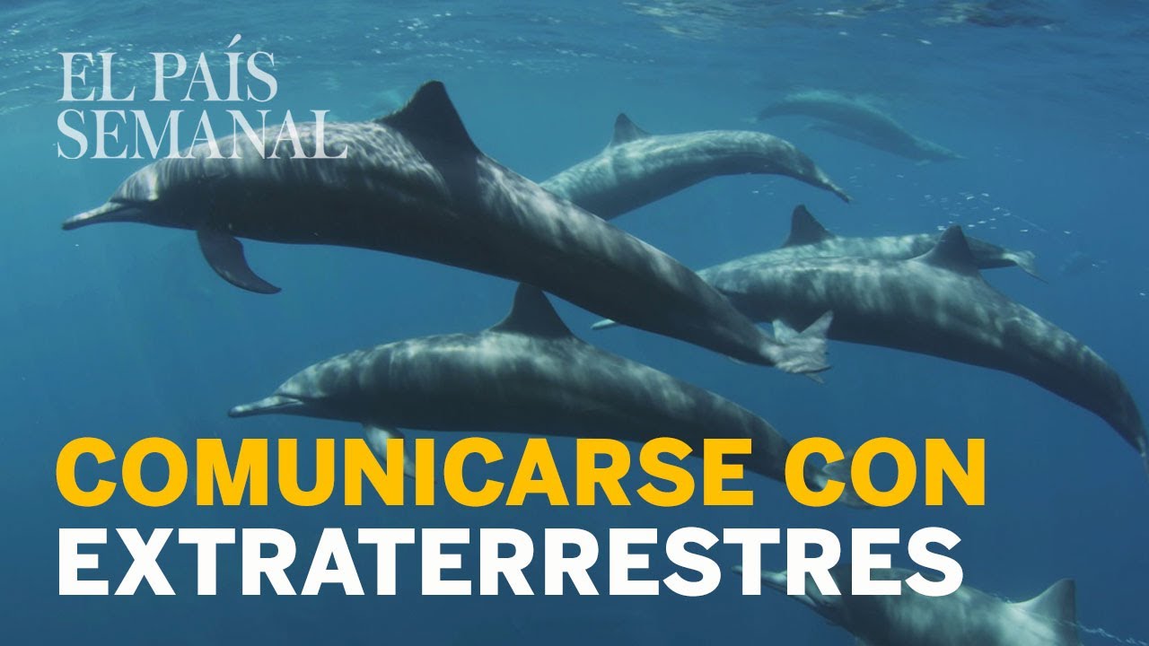 Cómo comunicarse con EXTRATERRESTRES| Ciencia sin ficción | El País Semanal