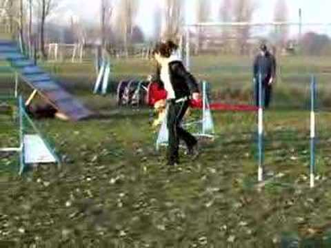 George edzés 2007'12'01