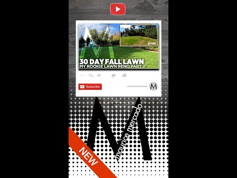 FALL LAWN RENOVATION 30 DAY BEFORE AND AFTER