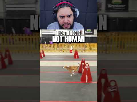 NOSSA, FORA DA CURVA HEIN