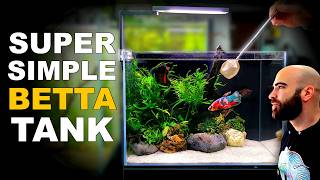 How To Make Your First Betta Fish Tank (EASY STEP BY STEP AQUASCAPE TUTORIAL)