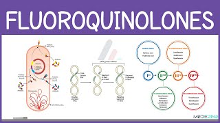 Fluoroquinolones Explained | Classification, Mechanism of Action, Uses, Resistance & Side Effects