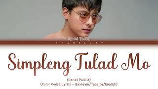 Daniel Padilla - SIMPLENG TULAD MO (Baybayin/Tagalog/English - Color Coded Lyrics)