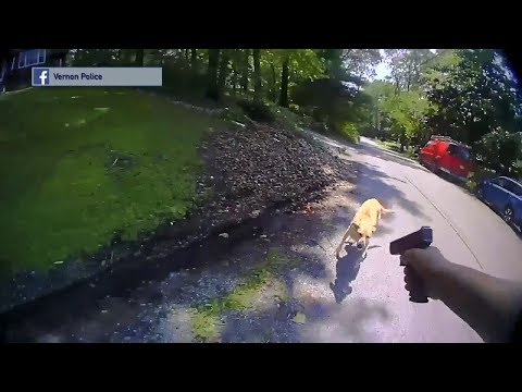 NJ Vernon Township Police Officer Cleared In Shooting Death Of Aggressive Dog