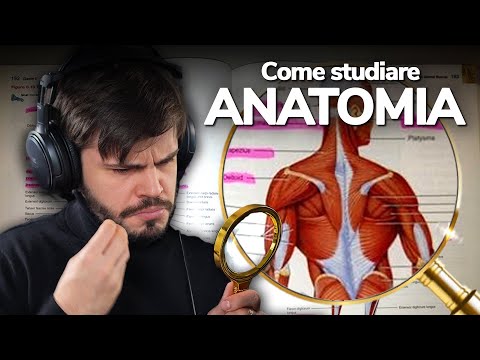 How to STUDY for the ANATOMY exam 🩻 (study method and @BraynrApp)