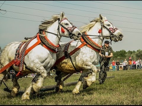 Honlap társkereső nők algéria