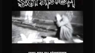 Skitsystem - Jag talar för de tysta (Lyrics)