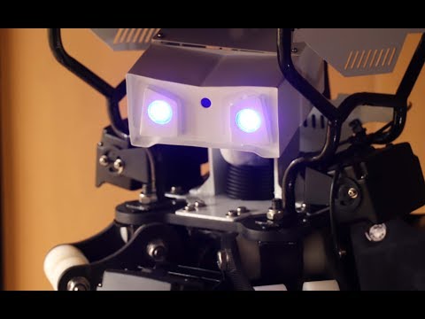 Bandicoot Review Video 1