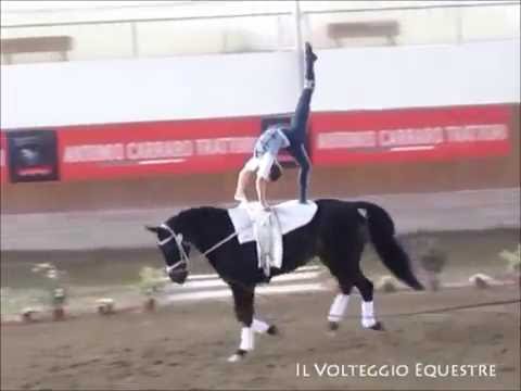 CVI Portogruaro 2016 - Volteggio - Ind 2* j F - 2° Selin Karabece