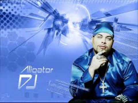 download lagu mp3 mp4 Dj Aligator Mosquito, download lagu Dj Aligator Mosquito gratis, unduh video klip Dj Aligator Mosquito