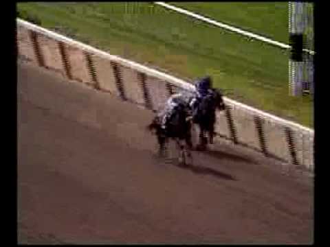 Zaftig Wins Acorn Stakes