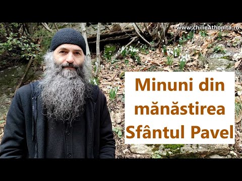 Minuni din mănăstirea Sfântul Pavel - părintele Pimen Vlad