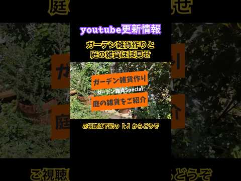 バケツガーデンを作る：素晴らしい、有益で安価なアイデア！どうやって対処すればいいのでしょうか？  庭園