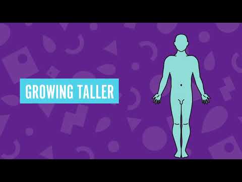 Puberty for boys and people with a penis - Fumble