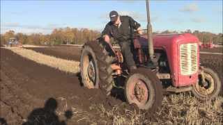 preview picture of video 'Massey Ferguson(?) at Kirriemuir Ploughing Annual Match 2013'