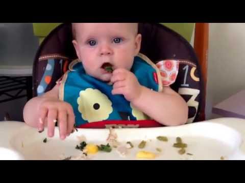 download lagu mp3 mp4 Kale Chips Baby Led Weaning, download lagu Kale Chips Baby Led Weaning gratis, unduh video klip Kale Chips Baby Led Weaning