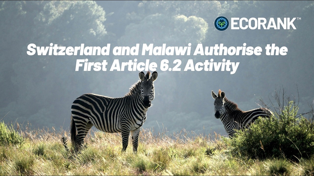 ECORANK - The Global Carbon Market Ratings Agency - Switzerland & Malawi First Article 6.2 Activity