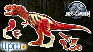 Jurassic World Tyrannosaurus Rex Anatomy Kit - Dinosaur Toys | Mattel Toys