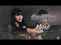 เลือกได้ไหม มิ้วส์ อรภัสญาน์ Live Acoustic