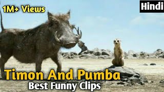 Timon And Pumba Best Funny Clips in Hindi  Hollywo