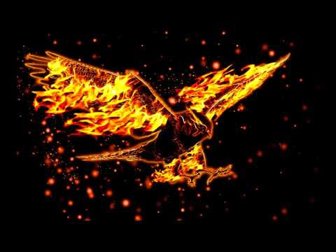 Korek x Pączek - W ciemno