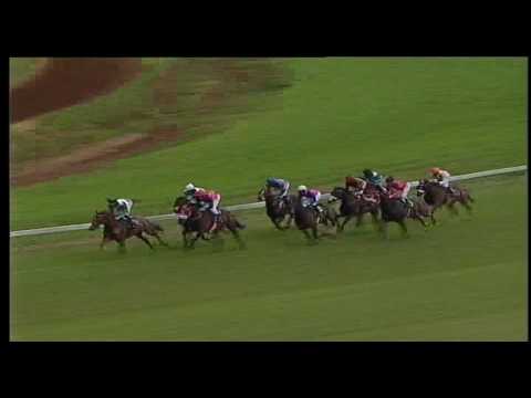 19 FEBRUARY 2017 BORROWDALE PARK race 3