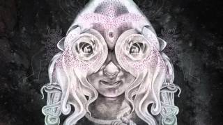 Kneebody &amp; Daedelus - 'Thought Not'