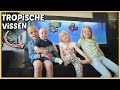 AQUARiUM MET TROPiSCHE ViSSEN iN ONZE WOONKAMER! ? | Bellinga Vlog #2461 GOED