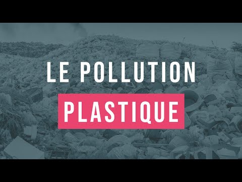 Pollution plastique : définition, causes et conséquences - Conservation Nature
