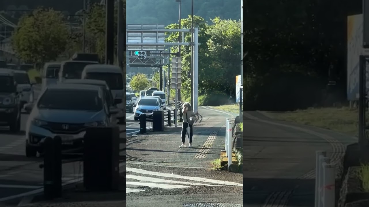 今日も平和 #おすすめ #shorts #おもしろい #最後まで見てね