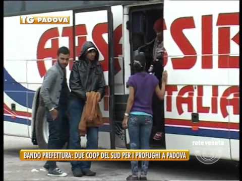 PADOVA TG - 15/02/2016 - BANDO PREFETTURA:  DUE COOP DEL SUD PER I PROFUGHI DI PADOVA