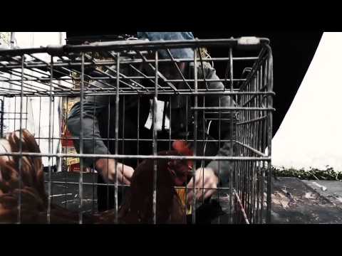 Raggaman Bob - Neck Bucky (official video)