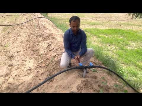 Lateral Pipe
