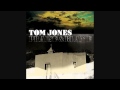 Tom Jones Strange Things Happen Everyday Lyrics