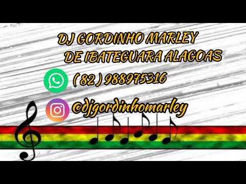 BARCA NA BATIDA E XAMÃ - ENTÃO VIAJO DE AVIÃO ( BREGA FUNK ) DJ GORDINHO MARLEY
