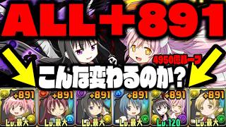 【まどマギコラボ】完全体『+891まどマギ』がガチでやばいぞ【まどマギコラボ】【ダックス】【パズドラ実況】