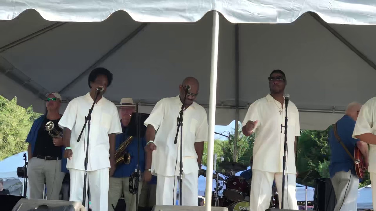 Promotional video thumbnail 5 for The Gold Standard Band