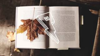 ayokay - The Shine ft. Chelsea Cutler