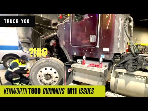 Cummins M11 Issues. Kenworth T800
