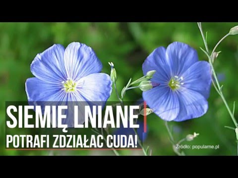 Olejek kamforowy na noc do włosów Maska do włosów musztarda włosy spaść