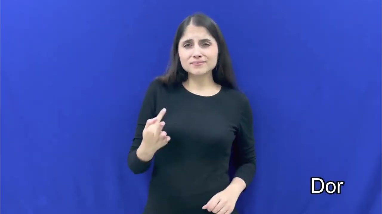 Alguns Sentimentos e Características - Libras