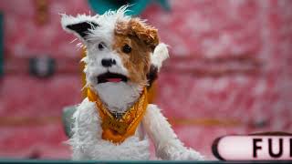 Good 'n' Fun The Window - Let Dogs Dog