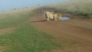 T One Tours And Safaris - 227
