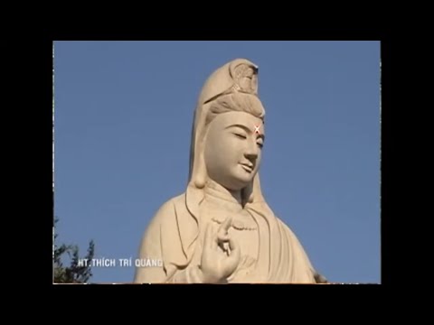 0- Mùa An Cư Kiết Hạ PL.2551- Chùa Huê Nghiêm 2- 03.6.2007- MS 256 VÔ NGÃ