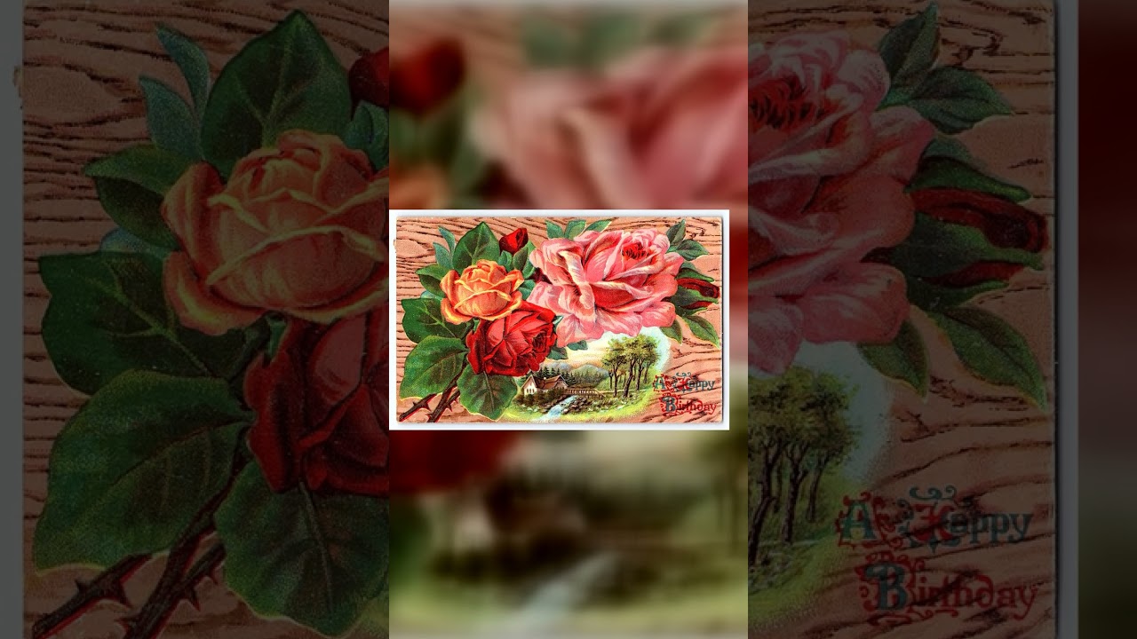 German Publisher, Divided Back, Birthday Roses, Parkston SD, 1912 Video