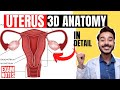 Uterus Anatomy 3d Parts Of Uterus Anatomy Anatomy Of Uterus Ligaments Anatomy