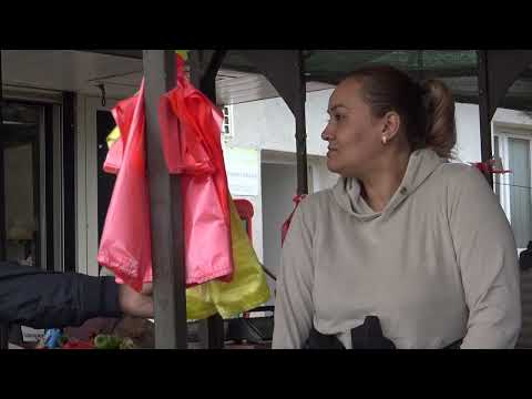 Romanipen: U susret Danu romskog jezika