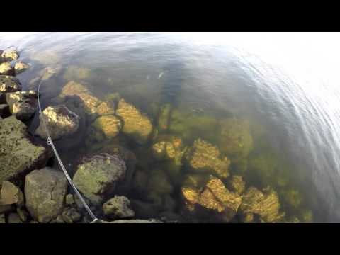 Tide Minnow Slim Flyer 140 Advance Line